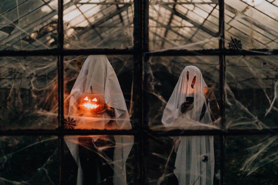 Hide My WP Ghost Review 2026