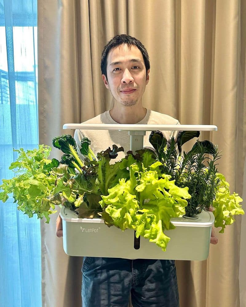 LetPot Review 2026: Hydroponic Indoor Gardens Tested