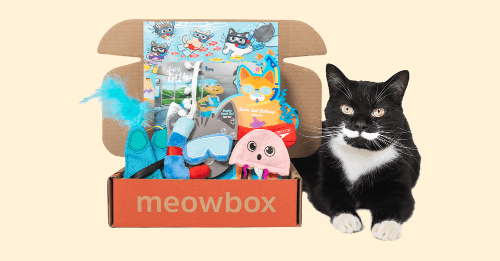 meowbox Review 2026: The Cat Subscription Box Worth the Hype