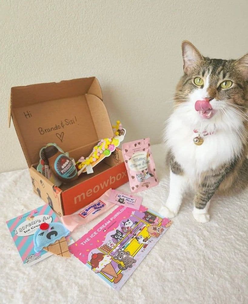 meowbox Review 2026: The Cat Subscription Box Worth the Hype