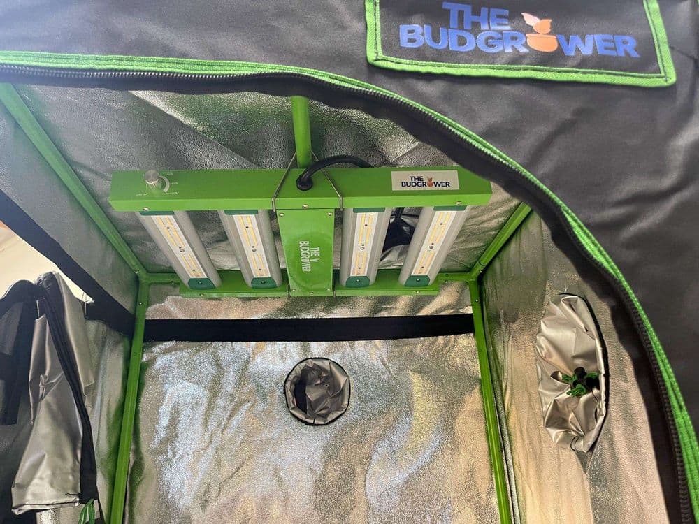 TheBudGrower Review 2026