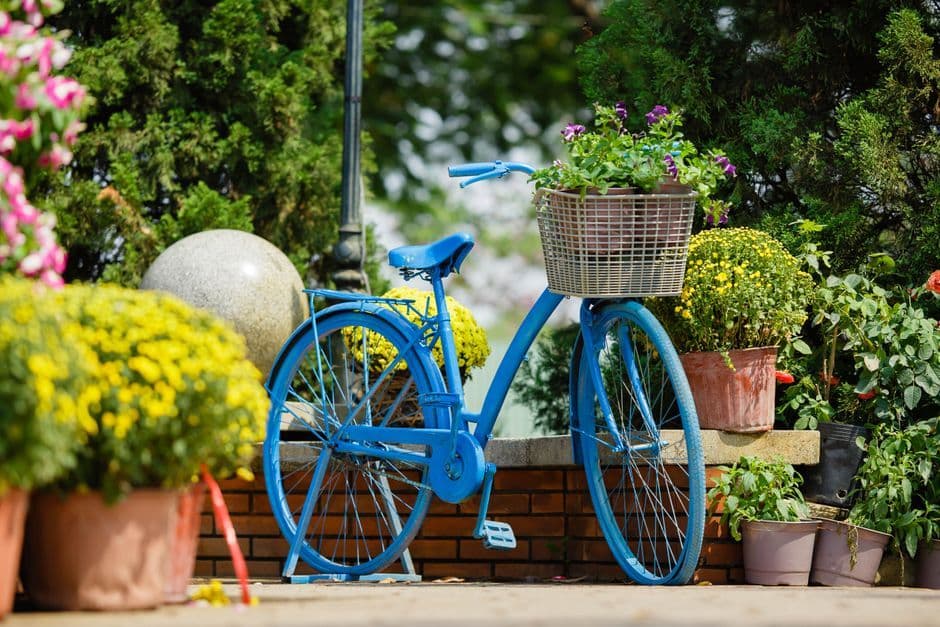 Memo Cycle Review 2026