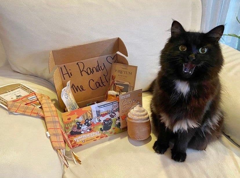 meowbox Review 2026: The Cat Subscription Box Worth the Hype