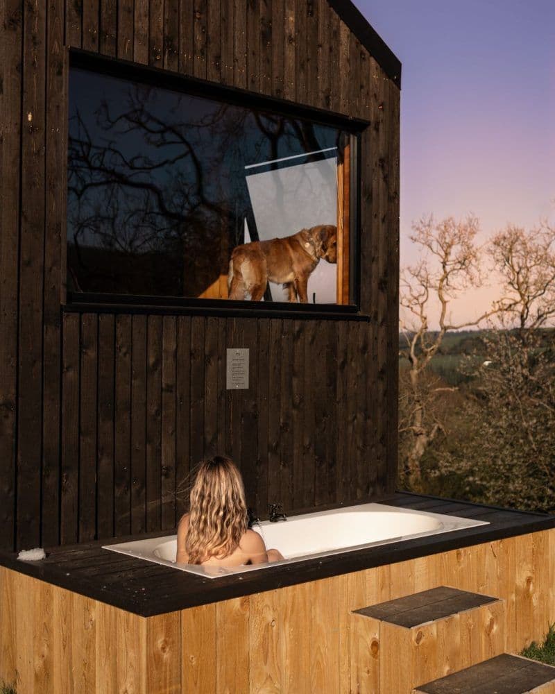 Shacks Review 2026: Off-Grid Luxury Cabins in Wild Wales