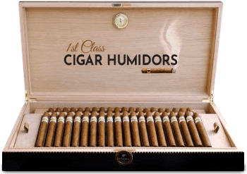 1st Class Cigar Humidors Review 2026
