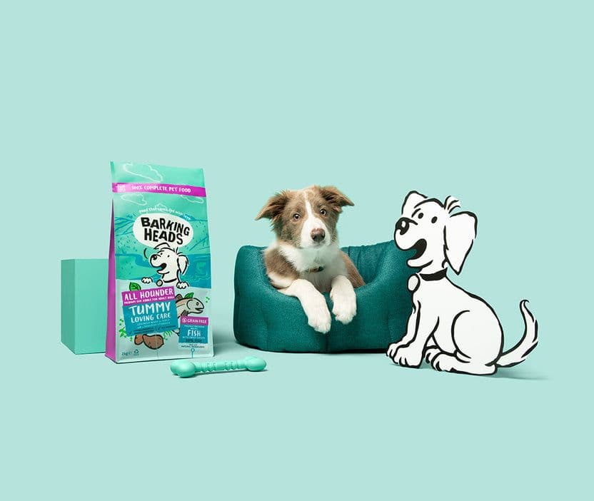 Barking Heads & Meowing Heads Review 2026