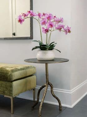 CG Hunter Review 2026: Are Luxury Faux Plants Worth It?