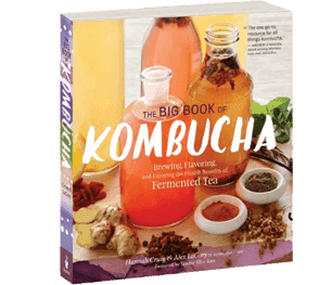 Kombucha Kamp Review 2026: The Home Brewing Authority