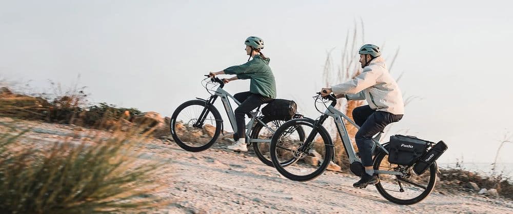 Fiido E-Bike Review 2026