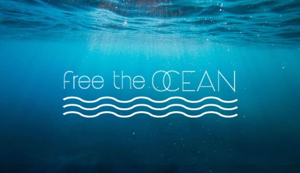 Free the Ocean Review 2026: Do Your Swaps Actually Clean the Sea?