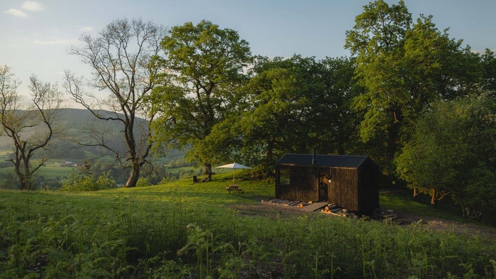 Shacks Review 2026: Off-Grid Luxury Cabins in Wild Wales