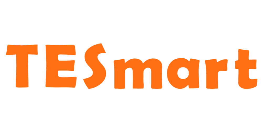 TESmart Review 2026: Enterprise KVM Switches Tested