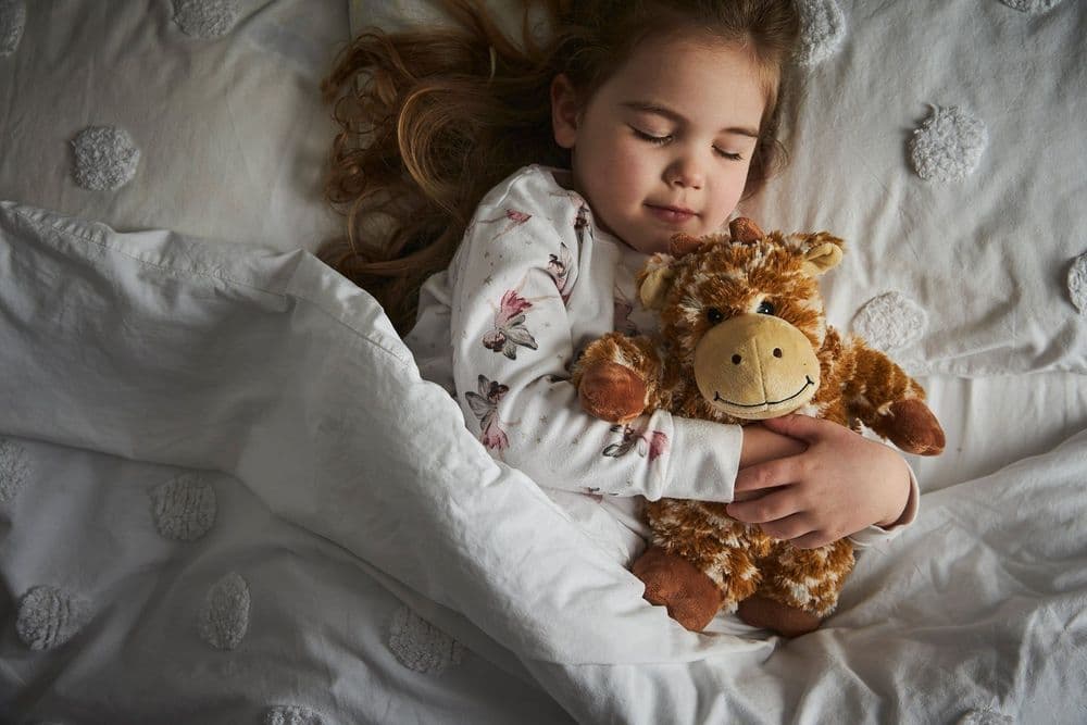 Warmies UK Review 2026: Are These Microwavable Soft Toys Worth It?