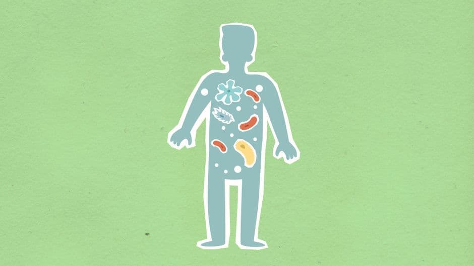 Microbiome Plus Review 2026